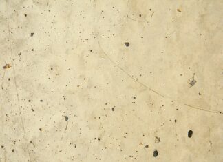 Jaka szczotka do betonu?