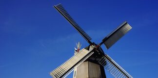 Czy można Zmielić goździki w Termomiksie?