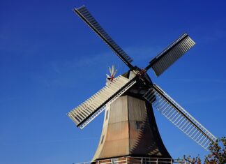 Czy można Zmielić goździki w Termomiksie?