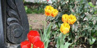 Ile za metr cokołu?