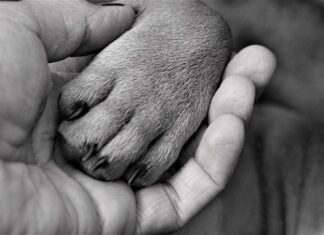 Co to jest udar w wiertarce?