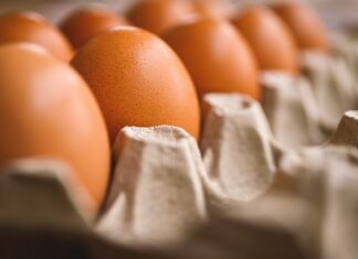 Co to jest uchwyt SDS Plus?