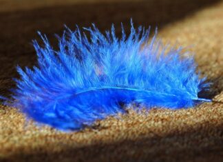 Jaka wykładzina na schody betonowe?