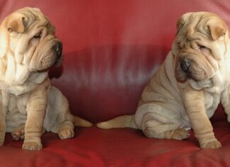 Ile kosztuje montaż nagrzewnicy?