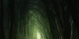 Do czego jest zielony smar?