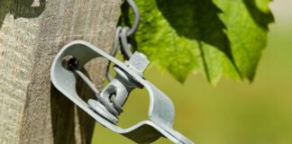 Czy napinacz paska powinien drgać?