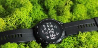 Dlaczego chrobotek wysycha?