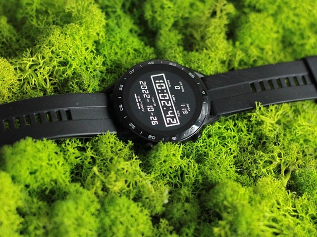 Dlaczego chrobotek wysycha? Dlaczego chrobotek wysycha?