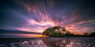 Co to znaczy odpływ pionowy WC?