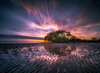 Co to znaczy odpływ pionowy WC?