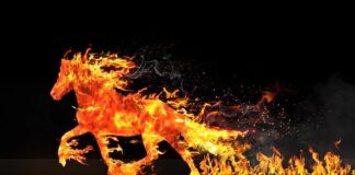 Czym uzupełnić ubytki w schodach betonowych?