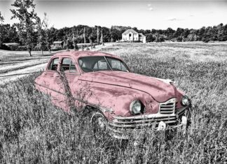 Jaki grzejnik do szklarni?