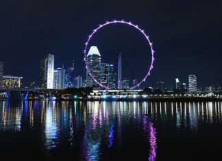 Co można zmielić w młynku Żarnowym?