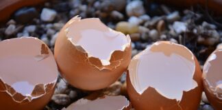 Jak wykorzystać potłuczone płytki?