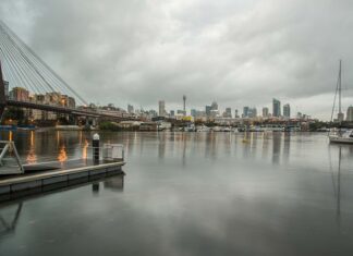 Jak użyźnić glebę pod folia?