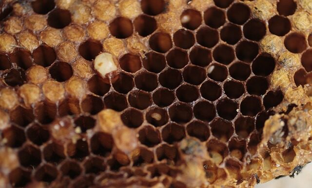 Jak podłączyć ZigBee?