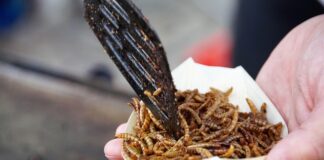 Po czym poznać że ma się robaki?