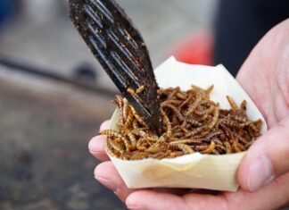 Po czym poznać że ma się robaki?