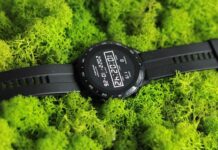 Jak szybko rośnie chrobotek? Jak szybko rośnie chrobotek?