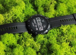 Jak szybko rośnie chrobotek?