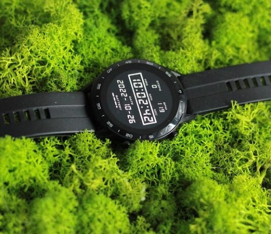 Jak szybko rośnie chrobotek?