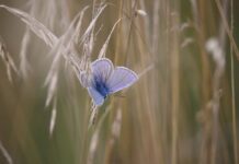 Co to znaczy miską ustępowa? Co to znaczy miską ustępowa?