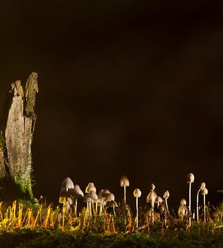 Jakie są rodzaje nagrzewnic?
