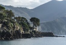 Ile kosztuje wymiana paska? Ile kosztuje wymiana paska?