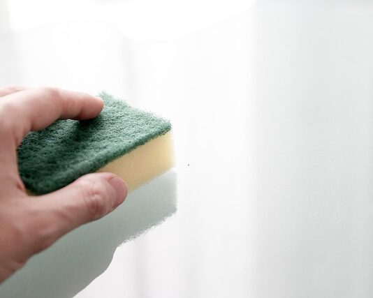 Czy warto kupić myjkę lavor?