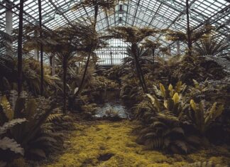 Ile kosztuje szklarnia z poliwęglanu?