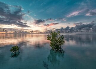 Jak OBIC boki Narożnika?