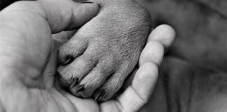 Po co udar w Wkrętarce?