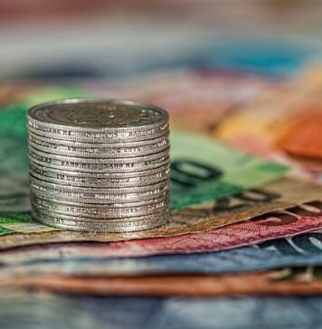 Co posadzić na działce żeby zarobić? Co posadzić na działce żeby zarobić?