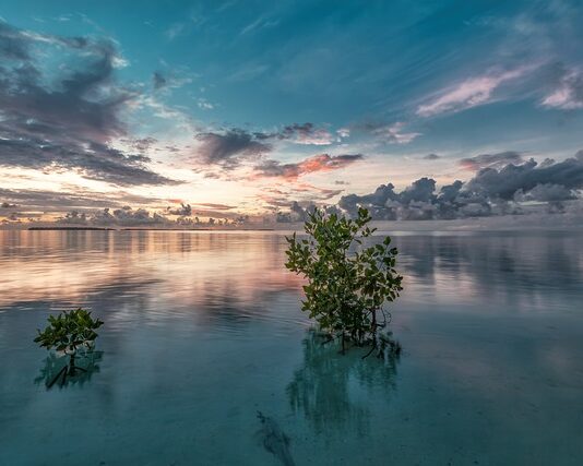 Ile kosztują narożniki do tynkowania?