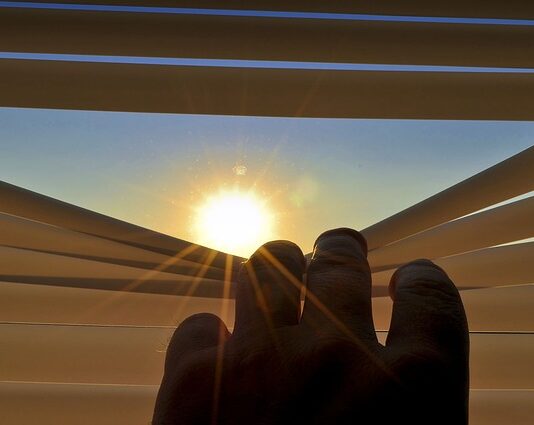 Jak działa roletą z moskitiera?