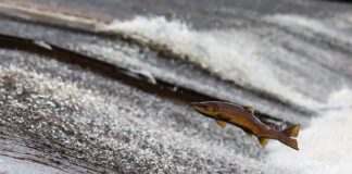 Dlaczego w dwóch kablach jest prąd?