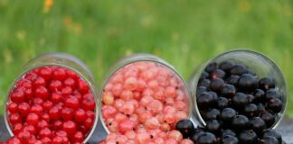 Ile kosztuje stopień dębowy na schody?