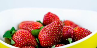 Ile ml ma miska z IKEA?