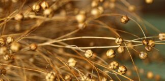 Jak położyć linoleum na schody?