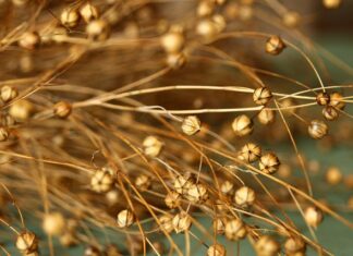 Jak położyć linoleum na schody?