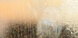 Do czego stosuje się smar litowy?