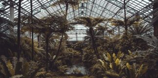 Jak zrobić małą szklarnie na balkonie?