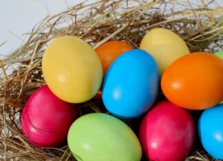 Jak wyglądają jaja tasiemca w kale?