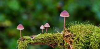 Jakie są rodzaje taśm do firan?