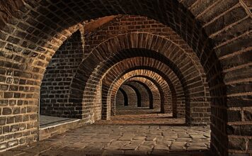 Czy warto kupić tunel foliowy?