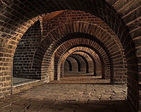 Czy warto kupić tunel foliowy?
