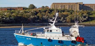 Jak zrobić tarczę?